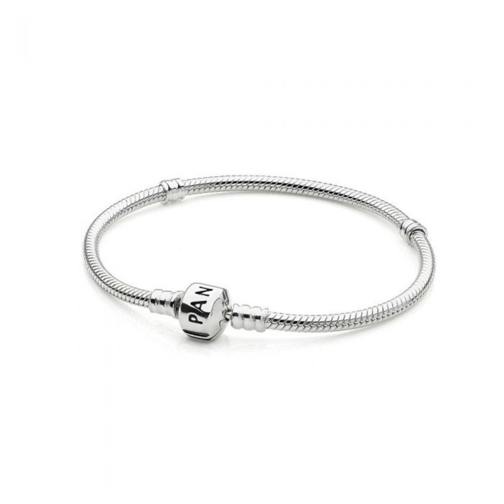 Pandora Sterling Silver Charm Bracelet with 2 charms